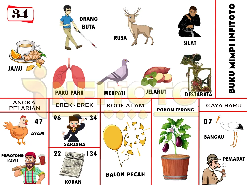 buku mimpi erek erek togel 34